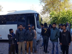 42 yabancı uyruklu kaçak şahıs yakalandı