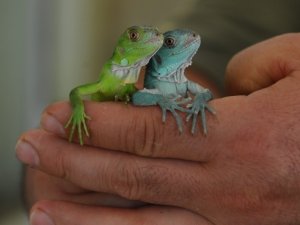 47 yavrusu birden oldu