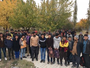 47 yabancı uyruklu kaçak şahıs yakalandı