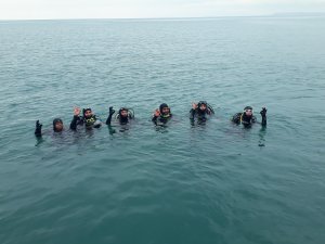 Van Gölü’ndeki balığın türü tespit ediliyor