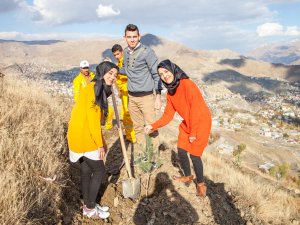 Hakkari üniversitesi çevresi ağaçlandırıldı