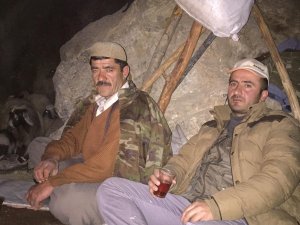 Mahsur kalan Küçükbaş hayvanlar kurtarıldı