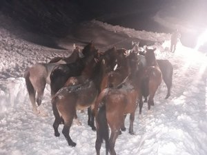 Hakkari’de 20 saat süren kurtarma operasyonu