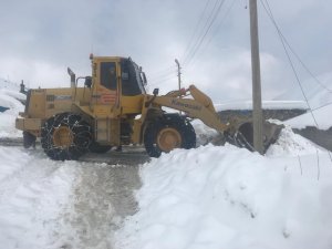 Hakkari'de köy ve mezra yolları yeniden açıldı