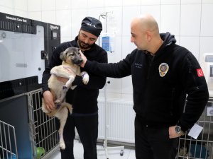 Polis memurundan örnek davranış
