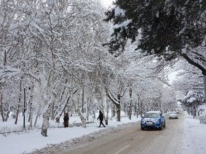 Doğu Anadolu'da dondurucu soğuklar etkili oluyor