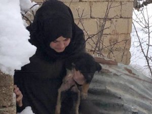 Hakkari'de sahipsiz yavru köpekler kurtarıldı