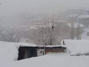 Hakkari’de 183 yerleşim yeri ulaşıma kapandı
