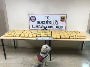 Hakkari’de 73,6 kilo eroin ele geçirildi