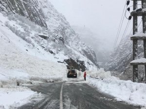 Hakkari Çukurca karayoluna çığ düştü