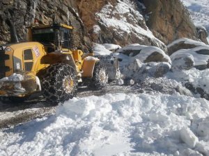 Hakkari oğul köy yoluna dev kayalar düştü