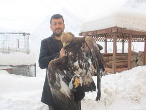 Kaya kartalı imamı hastanelik etti