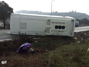 Tarım işçilerini taşıyan otobüs devrildi: 17 yaralı