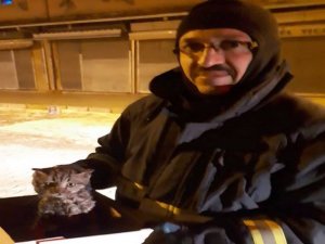 Boruya sıkışan yavru kediyi itfaiye kurtardı