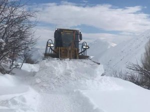 Hakkari’de 140 köy ve 393 mezra yolu açıldı