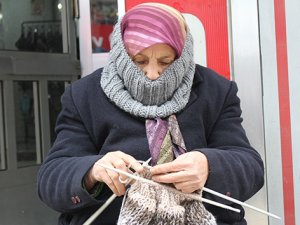 19 dairesi, 9 otomobili vardı şimdi bir odaya muhtaç