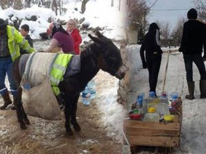 Eşekli kızaklı su çilesi