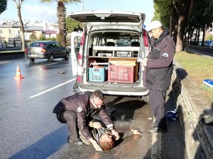 Yayaya çarpan sürücü üzüntüden bayıldı