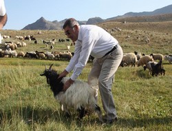 Başkan yaylaları ziyaret etti