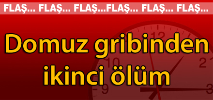 DOMUZ GRİBİ ÖLDÜRMEYE DEVAM EDİYOR