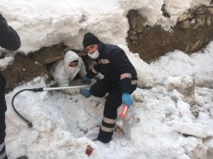 Göçük altında kalan köpek yavruları ile kurtarıldı