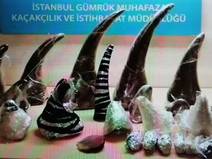 Gergedan boynuzu operasyonu