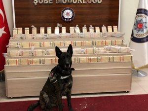 Tıra saklanmış 30 kilo eroin ele geçirildi
