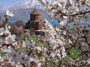Akdamar Adası’nda ‘Badem Çiçeği Festivali’