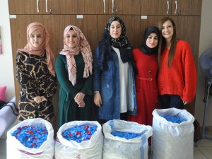 Üniversiteli gençler iki ayda 30 bin kapak topladı