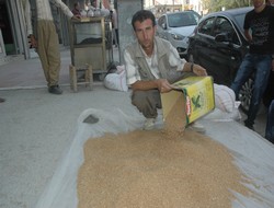 Hakkari'de fitrelik buğday satışları başladı