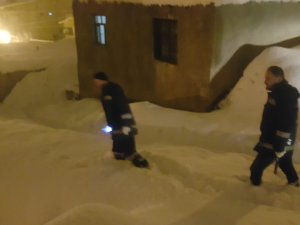 Hakkari’de başıboş sokak hayvanları operasyonu