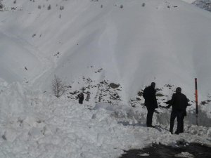 Şırnak-Hakkari karayoluna çığ düştü