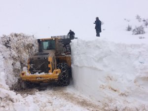 Yüksekova’da 5 ayrı noktaya çığ düştü