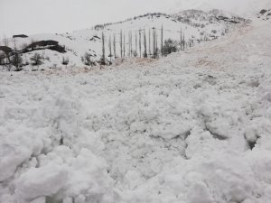 Yeşiltaş köyüne çığ düştü