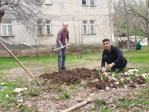 Çukurca’da tarlalar ekilmeye başlandı