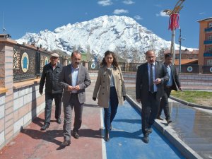 Eşbaşkanlar ildeki denetimlerini sürdürüyor