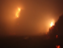 yüksekova'da on bin bağ ot yandı