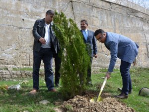 Hakkari ‘Adalet Ormanı'na ilk fidanlar dikildi