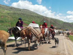 Göçerlerin zorlu yayla yolculuğu başladı