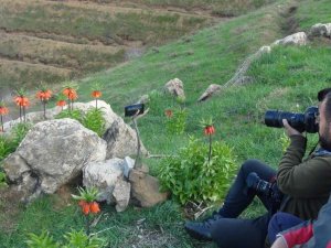 Fotoğraf tutkunları 2 bin rakımda...