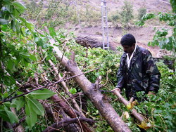 FIRTINA ÇUKURCA/YI VURDU