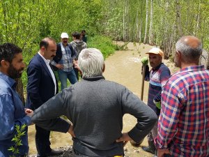 Eşbaşkan Karaman çalışmaları denetledi
