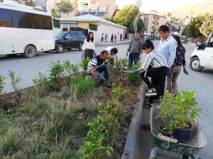 Belediye encümenleri orta refüjlere çiçek ekti