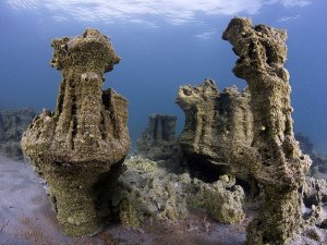 Van Gölü'nün sırları belgesel oldu
