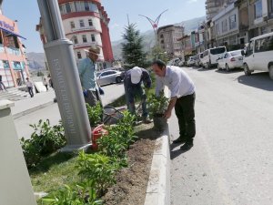 Hakkari’de yeşillendirme çalışmaları sürüyor