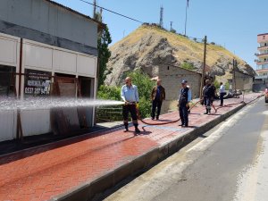 Eşbaşkan Karaman çalışmalara eşlik etti