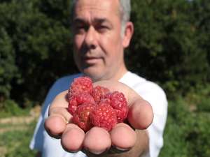 Ahududu üreticinin yüzünü güldürdü