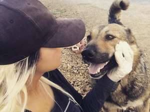 Fedakar öğretmen köpekleri için tatilden vazgeçti