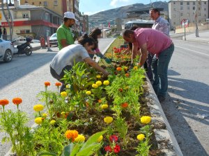 Belediye meclis üyeleri caddeleri renklendirdi