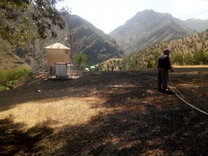 Hakkari Üzümcü köyünde korkutan yangın